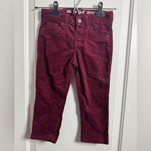 Cat and Jack girls 5T maroon corduroy skinny jeans.